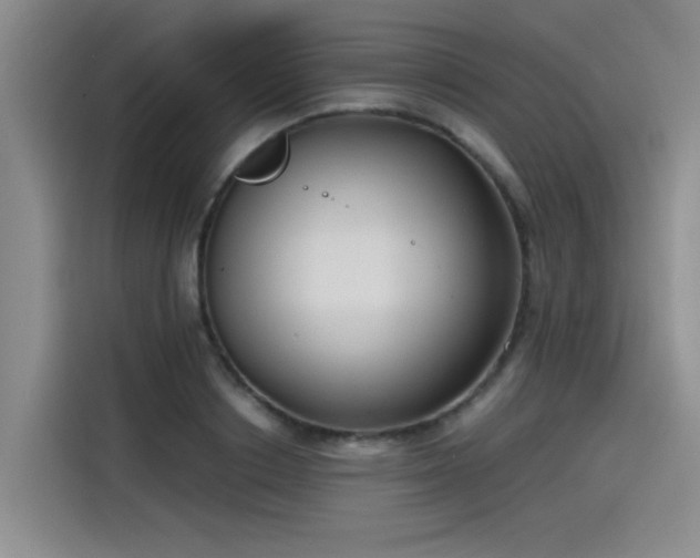 X0000115480842200911131214