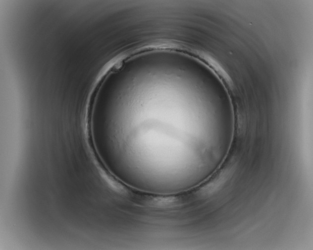 X0000115480845200911131214