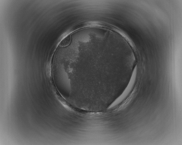 X0000115480858200911131214