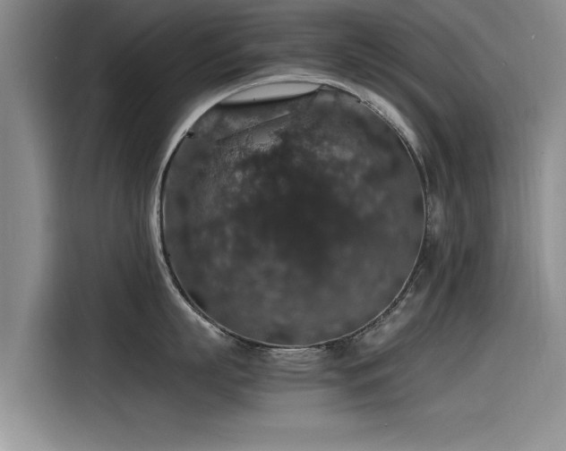 X0000115480863200911131214