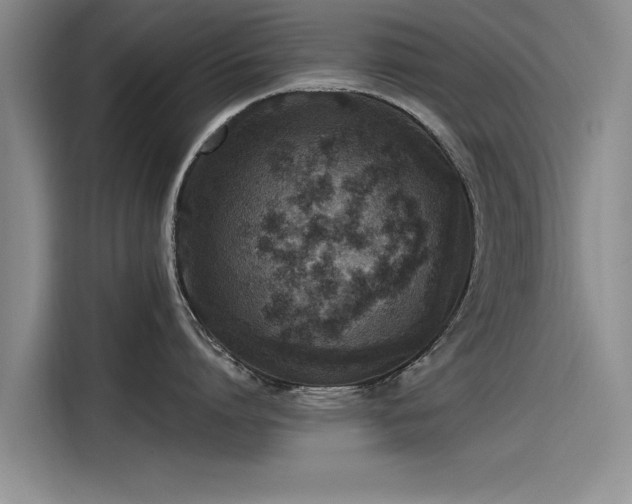 X0000115480864200911131214