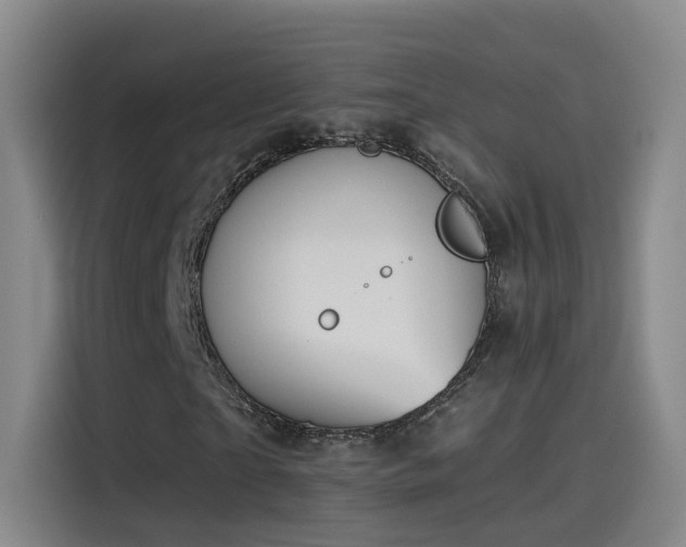 X0000115480865200911131213