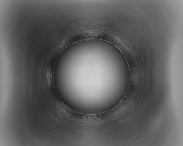 X0000115480866200911131213