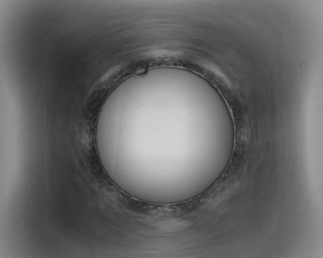 X0000115480869200911131213