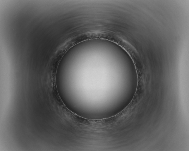 X0000115480870200911131213