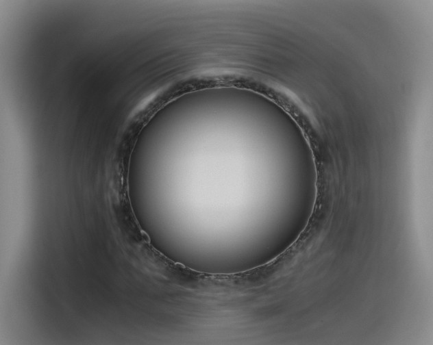 X0000115480871200911131213