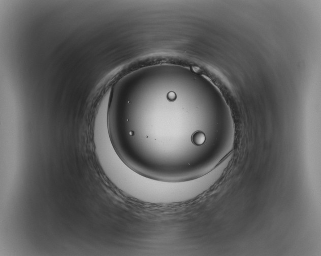 X0000115480872200911131213