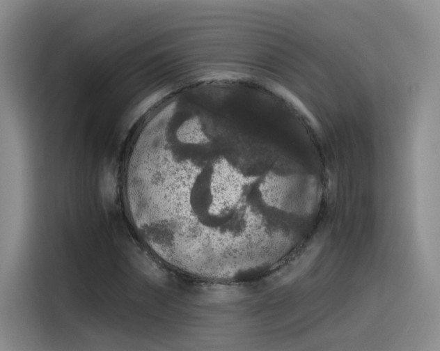 X0000115480874200911131213