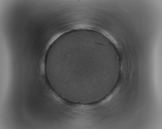 X0000115480877200911131213