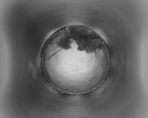 X0000115480879200911131213