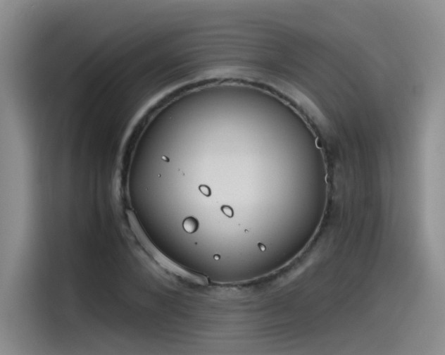 X0000115480880200911131213