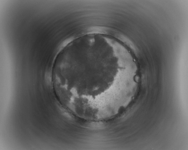 X0000115480882200911131213