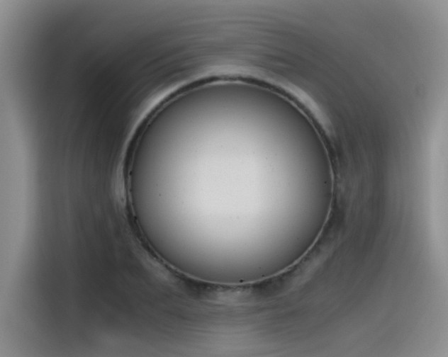 X0000115480887200911131213