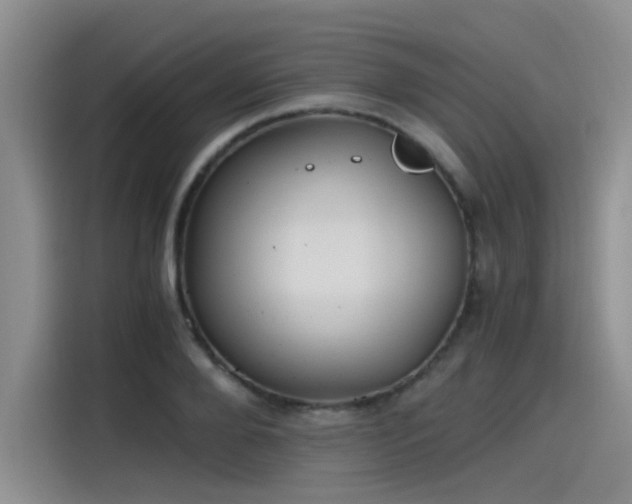 X0000115480888200911131213