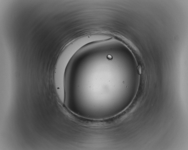 X0000115480889200911131213