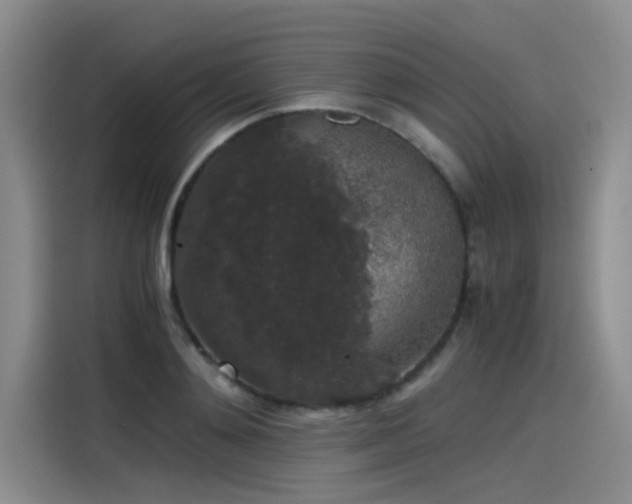 X0000115480892200911131213