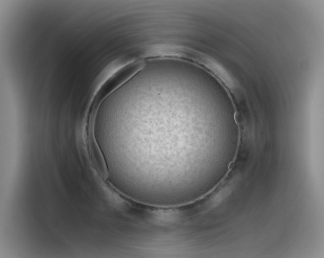 X0000115480893200911131213