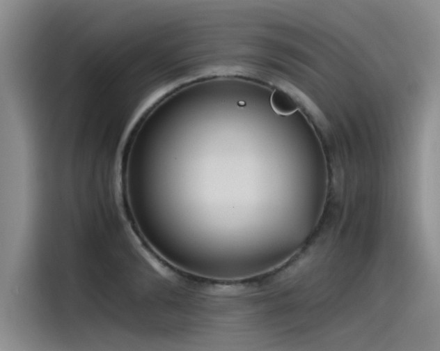 X0000115480894200911131213