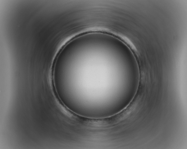 X0000115480895200911131213