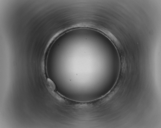 X0000115480896200911131213