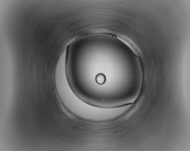 X0000115480897200911131213