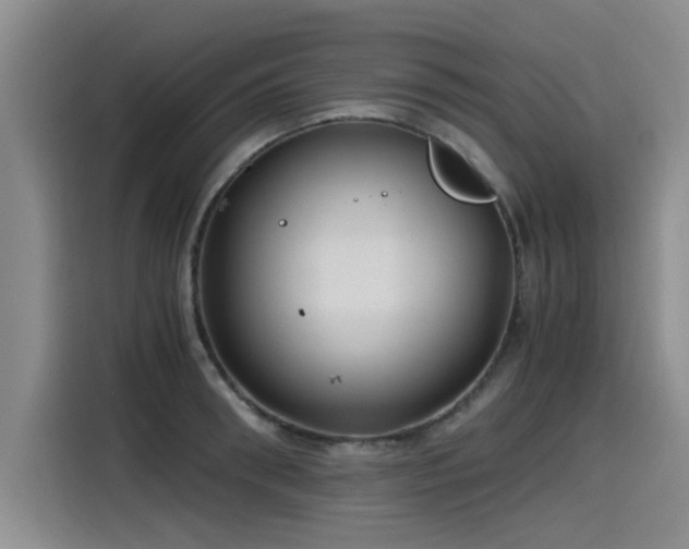 X0000115480898200911131213