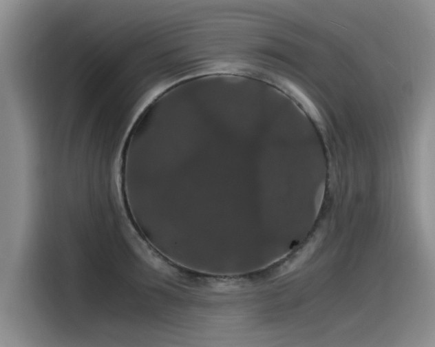 X0000115480899200911131213