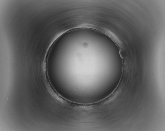 X0000115480900200911131213