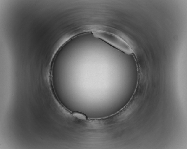 X0000115480901200911131213