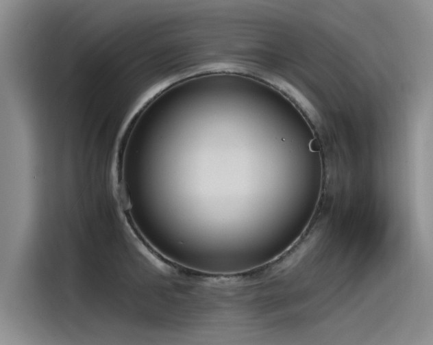 X0000115480902200911131213