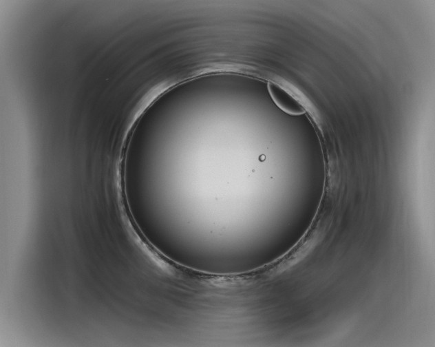 X0000115480906200911131213