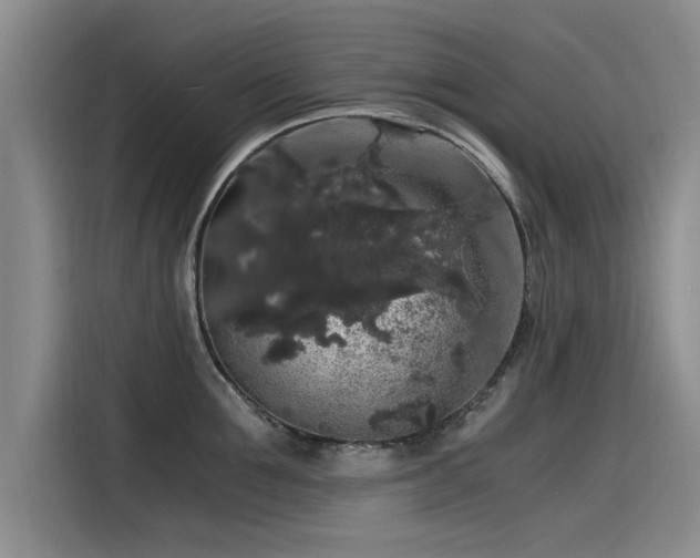 X0000115480907200911131213