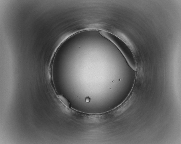 X0000115480908200911131213