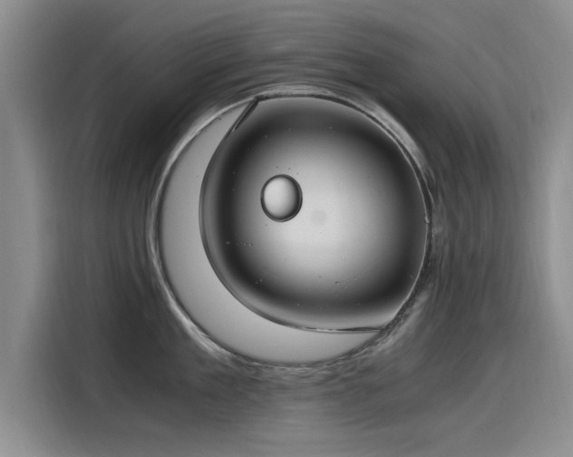 X0000115480909200911131213