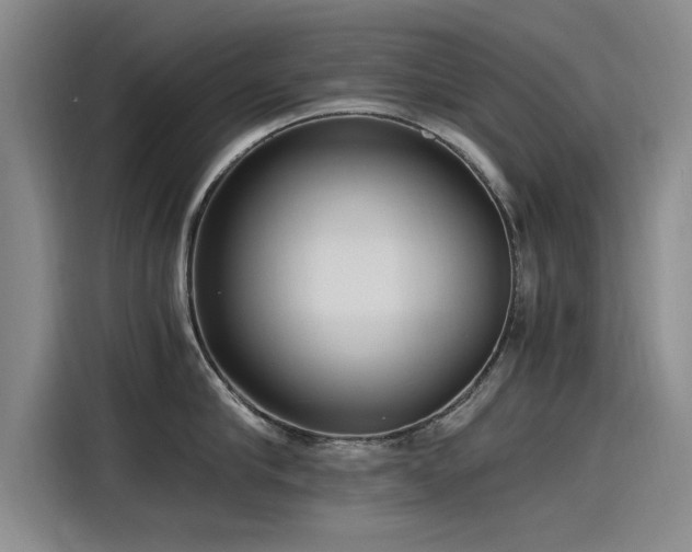 X0000115480910200911131213