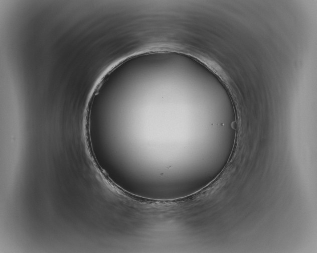 X0000115480912200911131213