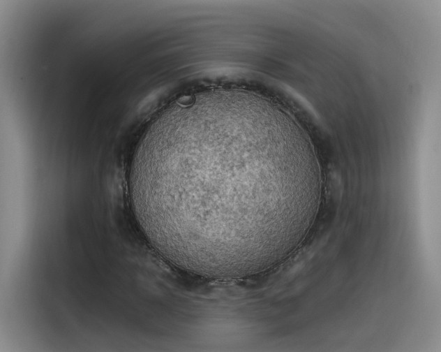 X0000115480918200911131212