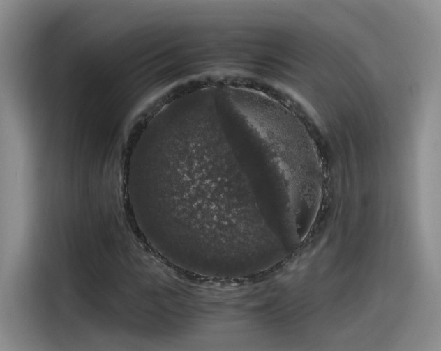 X0000115480919200911131212