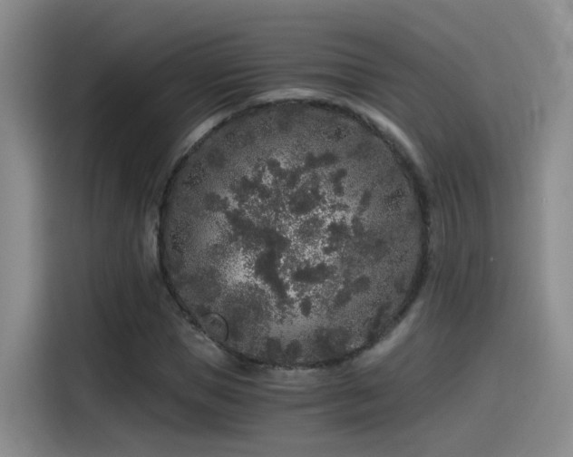 X0000115480921200911131212