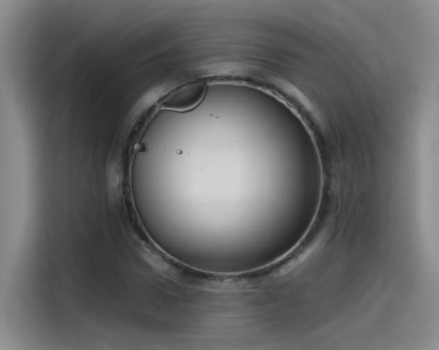 X0000115480922200911131212