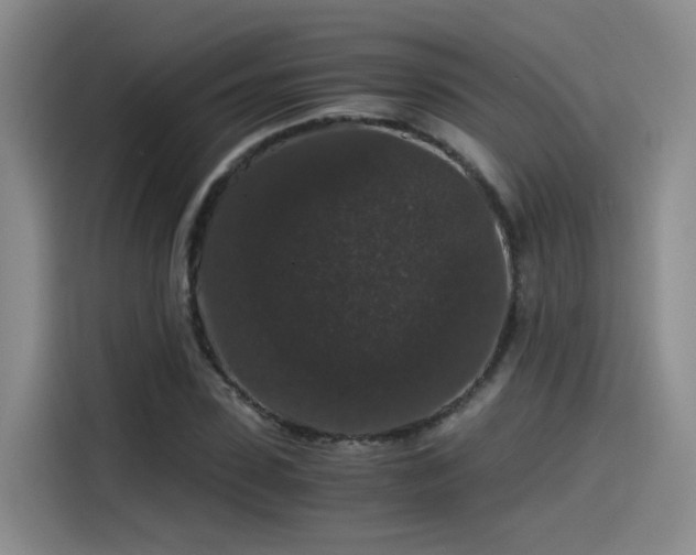 X0000115480923200911131212