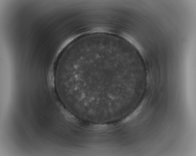 X0000115480925200911131212