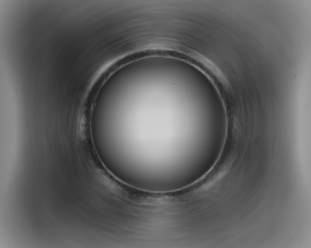 X0000115480926200911131212