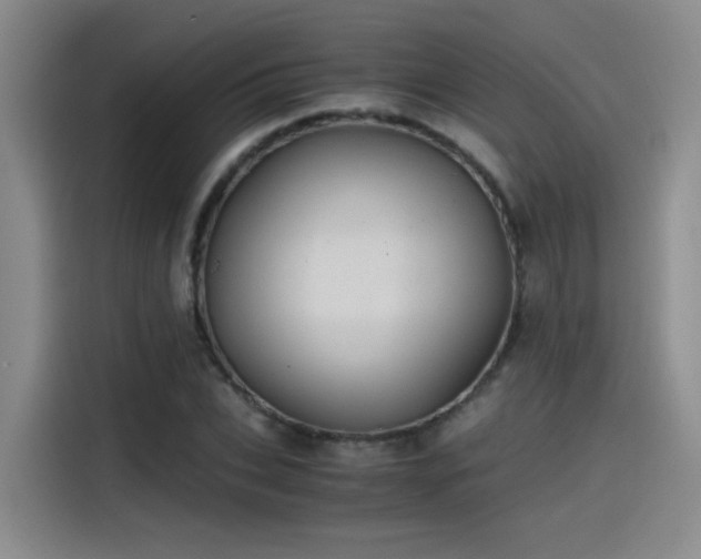 X0000115480927200911131212