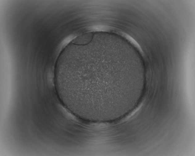 X0000115480930200911131212