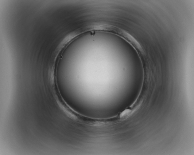 X0000115480938200911131212