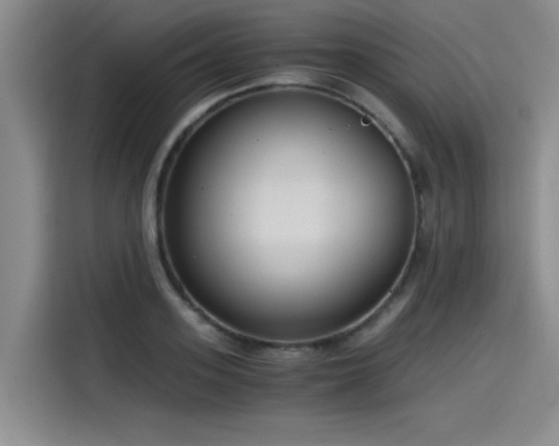 X0000115480939200911131212