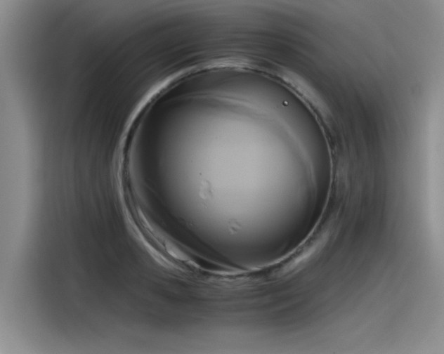 X0000115480941200911131212