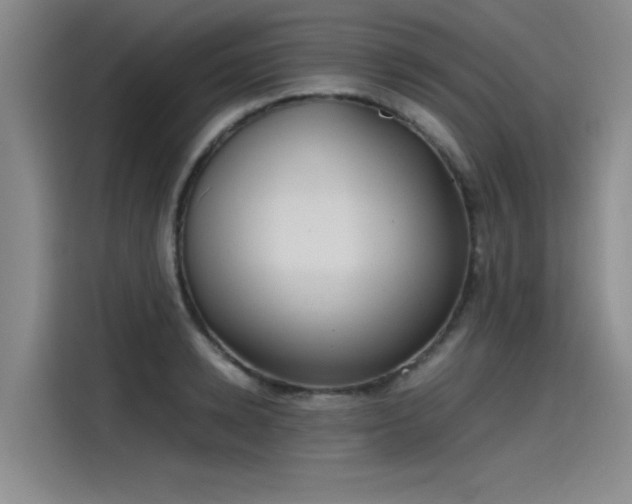 X0000115480942200911131212