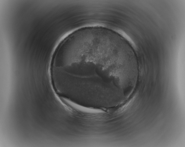 X0000115480943200911131212